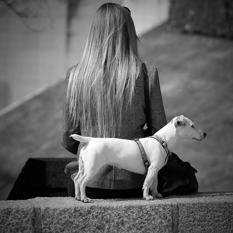Jean-Yves Goujard Photographe